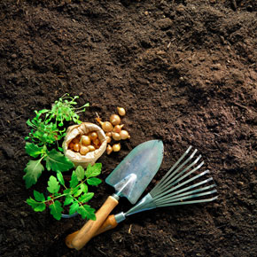 premium-organic-topsoil-harrogate